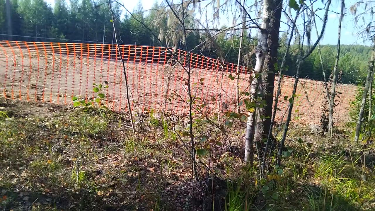 Tarkastus ratalouhokselle 6.9.2024