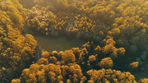 Beautiful Relaxing Music
