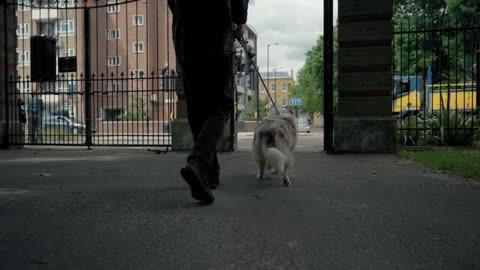 Walk with Dog on leash