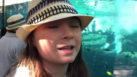 ALL ABOUT WILD ANIMALS ! ZOO ANIMALS FOR KIDS ! BEST ANIMAL ADVENTURE PARK !!
