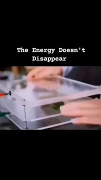 The phantom Leaf effect in Kirlian Photography, the energy does not dissapear