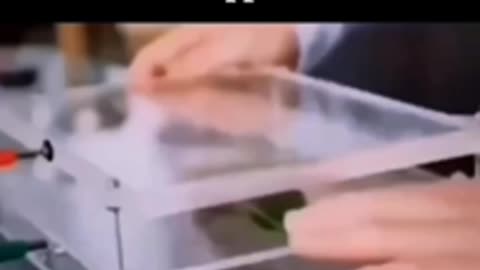 The phantom Leaf effect in Kirlian Photography, the energy does not dissapear