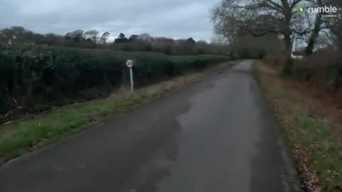 Husky Throws Tantrum