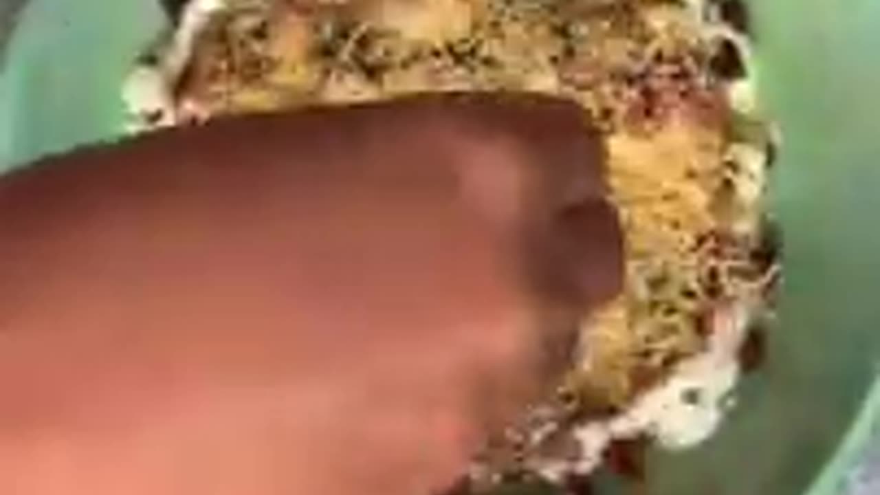Dahi papdi