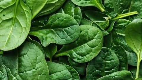 Top 10 Foods to Boost Your Immune System