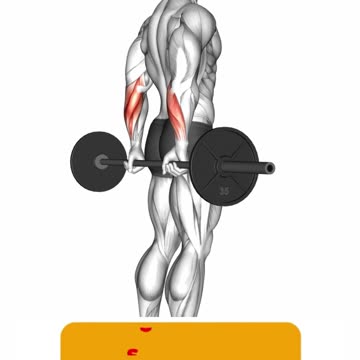 Unlock Forearm Power #forearmworkout #fitnessgoals #strengthtraining #gripstrength #shorts #short