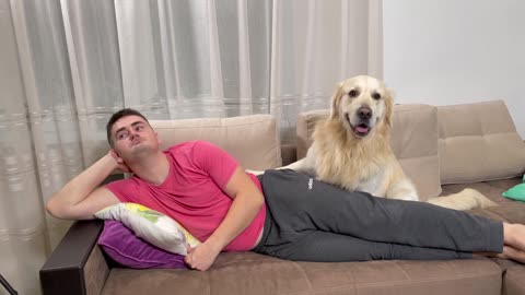 My Dog Never Ignore a Golden Retriever!to the Words I Love You [FUNNIEST REACTION]