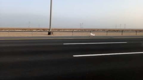 visite madinazayat uae