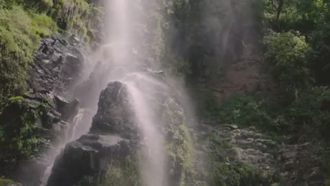 Fly over a huge canyon covered in vegetation