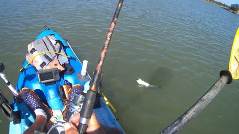 cherry grove at myrtle beach kayak fishing