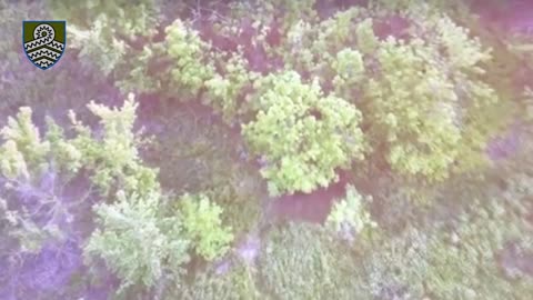 Dropping Grenades Onto Russians Hiding in the Forest