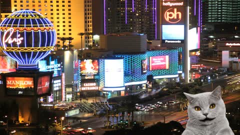 The Truth About The Las Vegas Shooting- Part one.