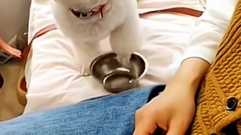 Give Me Some Food!!!