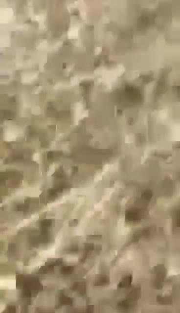 🚨 - BREAKING NEWS