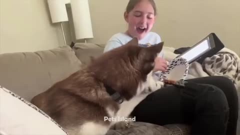Try not to Lough - 1 hour funniest Animal