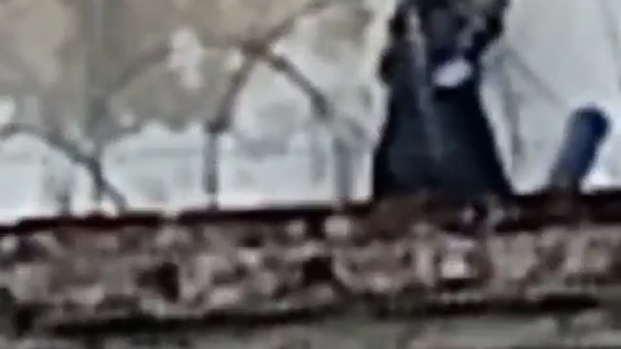 Interno se subió a un muro en la cárcel Modelo de Bucaramanga