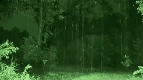 RAIN SOUNDS Sounds for Meditation, Deep Sleep , Relaxing Sounds and Calming Music