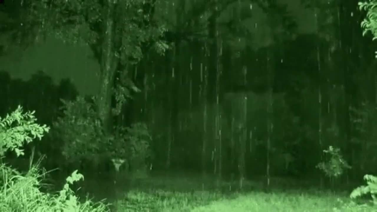 RAIN SOUNDS Sounds for Meditation, Deep Sleep , Relaxing Sounds and Calming Music
