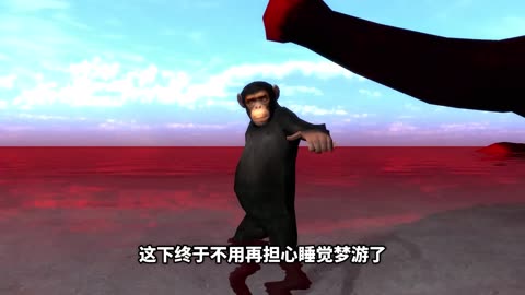 Cartoon video monkey funny cartoon