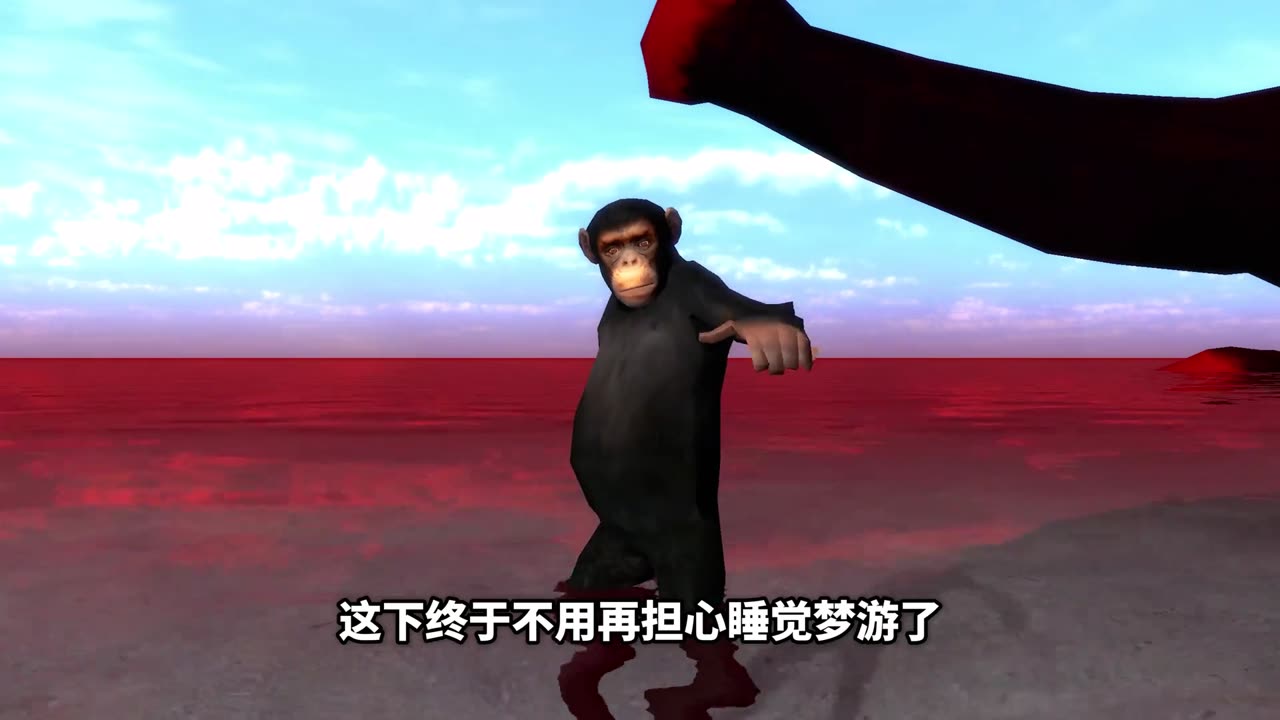 Cartoon video monkey funny cartoon