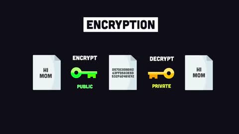 Bitcoin ? in 100 Seconds // Build your Own Blockchain