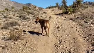 Hiking at Red Rock