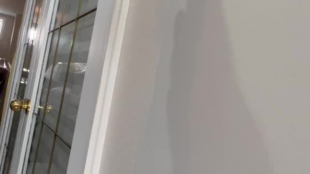 Frog tape the sides of trim to cut down on brush marks