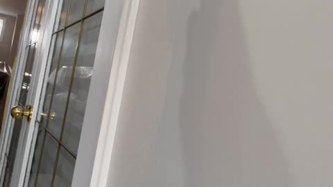 Frog tape the sides of trim to cut down on brush marks