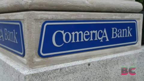 Comerica Bank abused and neglected vulnerable customers who relied on card for federal benefits