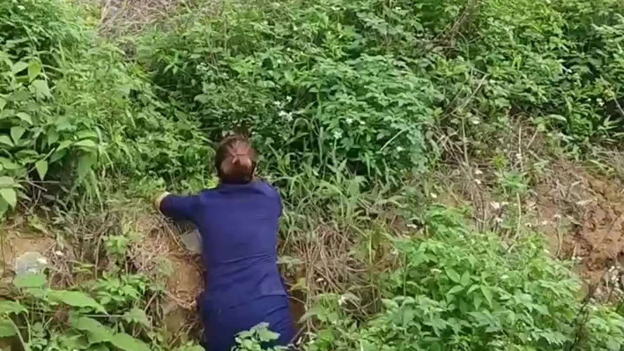 #funny videos compilation to make you laugh