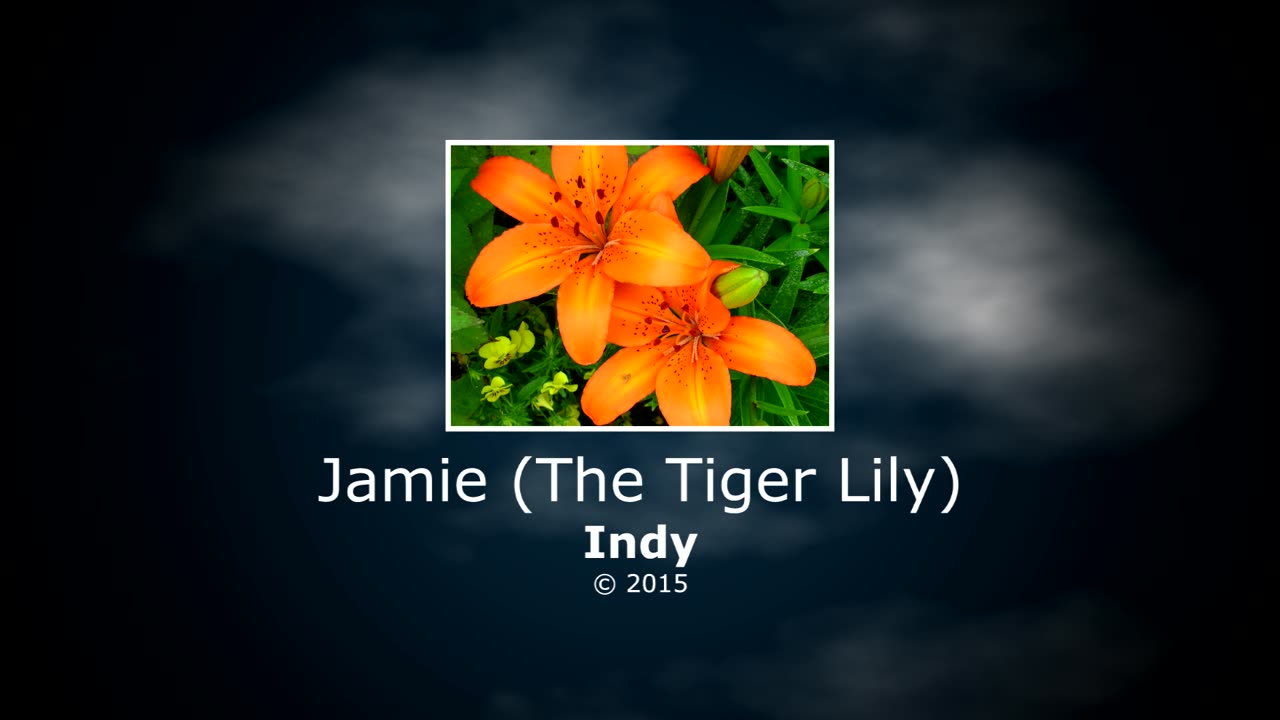 Indy - Jamie (The Tiger Lily)