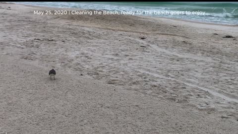Cleaning the beach to get ready for the beach goers ..