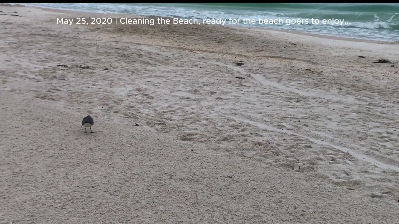Cleaning the beach to get ready for the beach goers ..