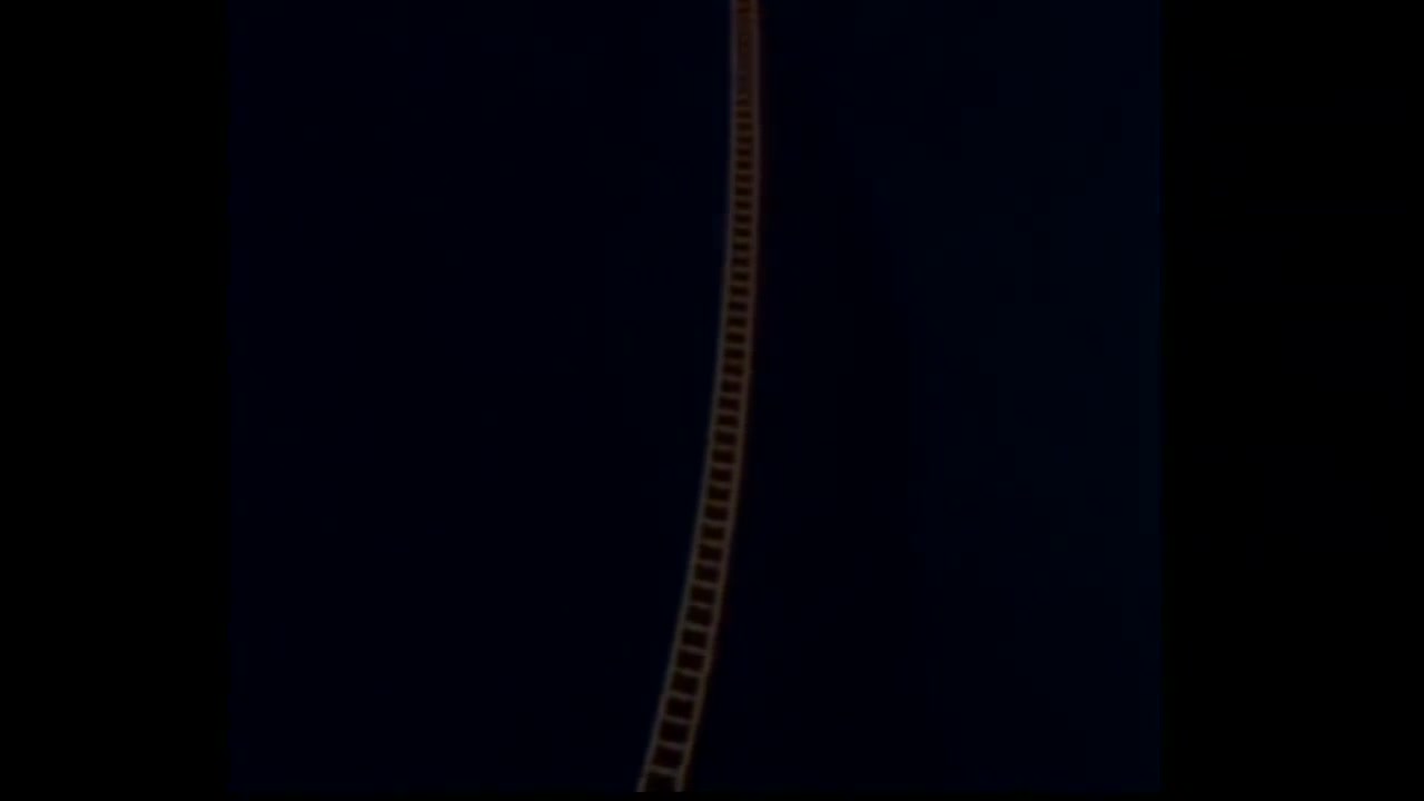 Unbelievable moments caught on camera