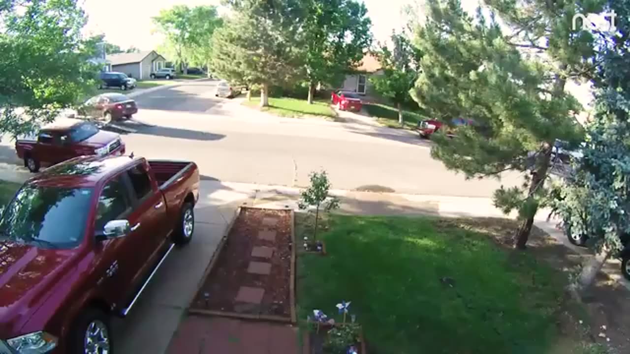Funny video