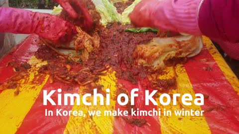 Kimchi of Korea, 한국 김치