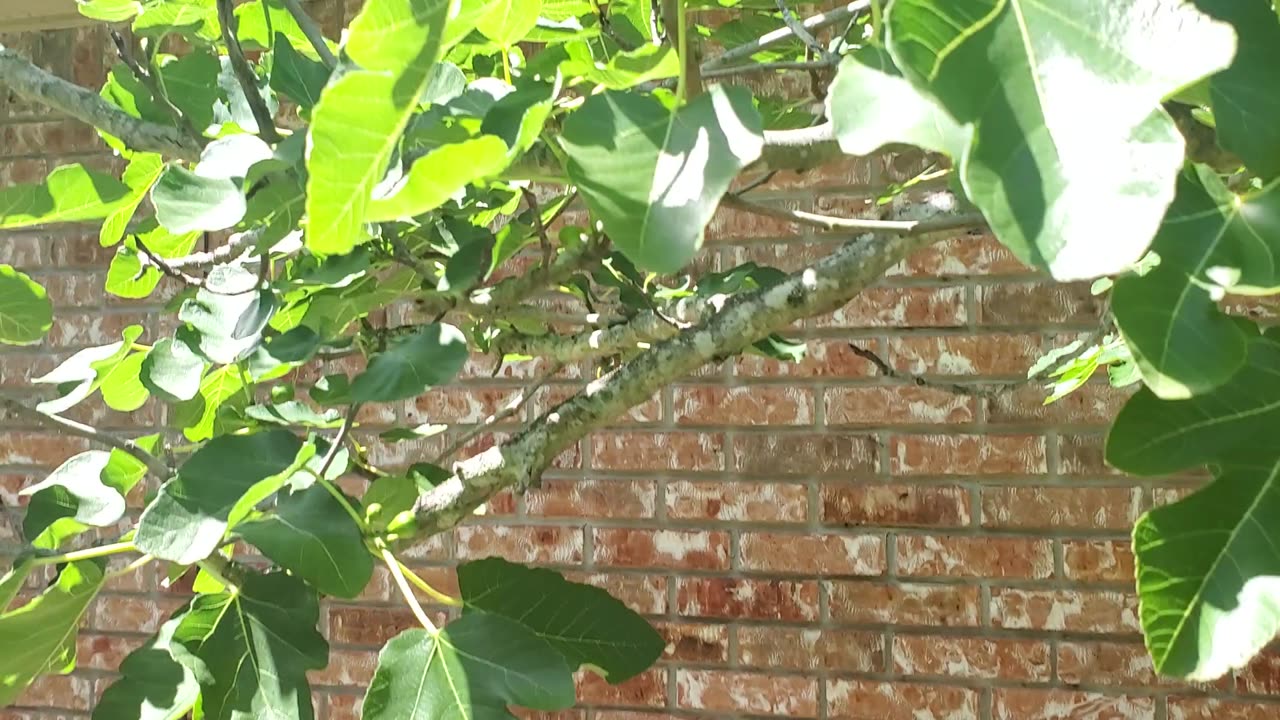 GardenUpdate-2023-Apr16