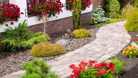Augustus Lawn & Maintenance LLC - (352) 641-4826