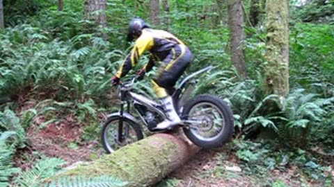 Log Jump Training Continued
