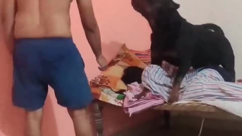 When you're not happy with your human!