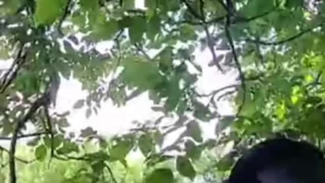 Ukrainian troops continue pushing back Russian forces amid illegal annexation