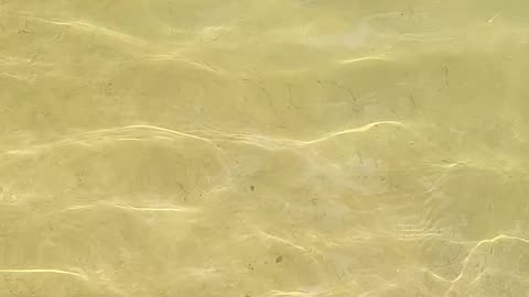 Fishing in Uttarakhand