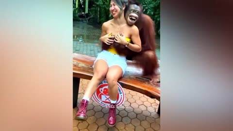 Funniest Animals 2023 😂 Funny Dogs and cat
