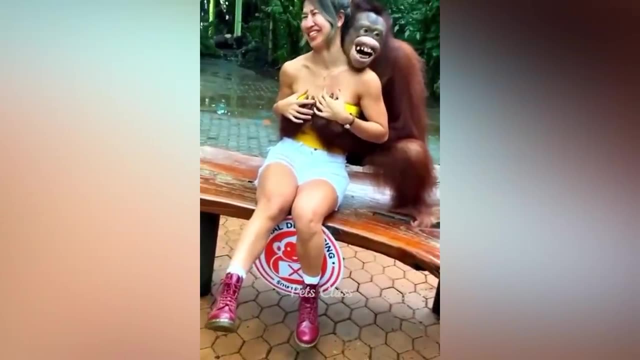 Funniest Animals 2023 😂 Funny Dogs and cat