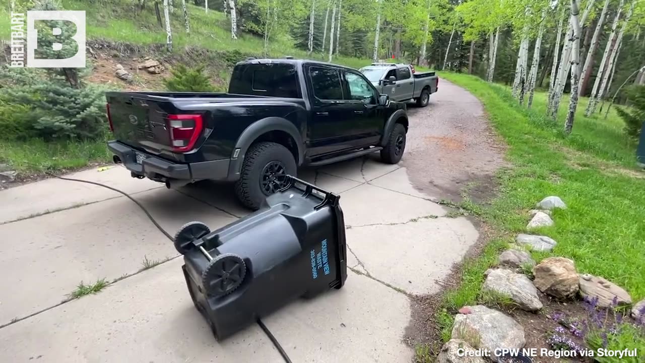 HOW EM-BEAR-ASSING!! Bear Traps Itself in Truck After Opening Door to Get Food Inside