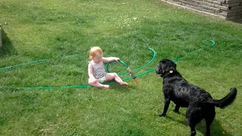 This dog is trying to keep the baby happy..! Beautiful laughter.