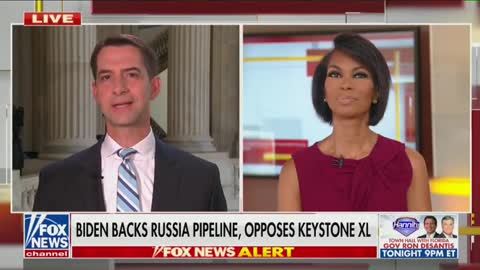 Tom Cotton reacts to Nord Stream 2
