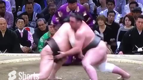 Sumo