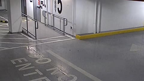 6080RHOBG3G305ANorthLobbyEntry_2021-01-05_05h20min01s567ms.mp4