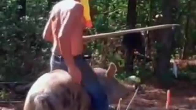 Live a disciplined life, and good things will happen on the way.